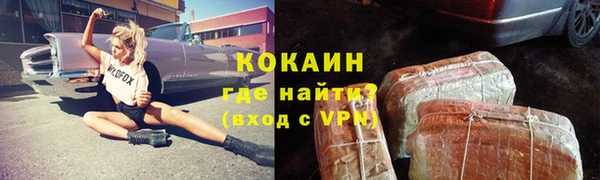 хмурый Новозыбков