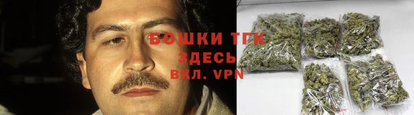 хмурый Новозыбков