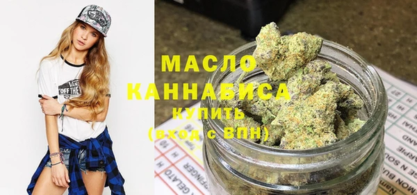 хмурый Новозыбков