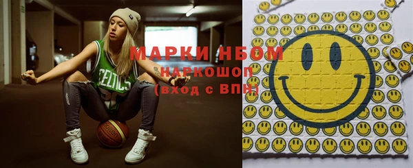 хмурый Новозыбков