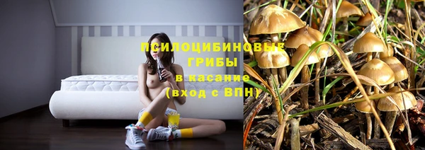 хмурый Новозыбков