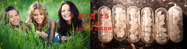 spice Новокубанск