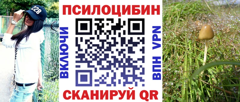 Псилоцибиновые грибы Psilocybine cubensis  Новочеркасск 
